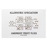 Allopatric Speciation Amongst Fruit Flies stationery