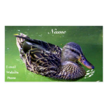 Allow Me To_Profile Card Business Card Templates