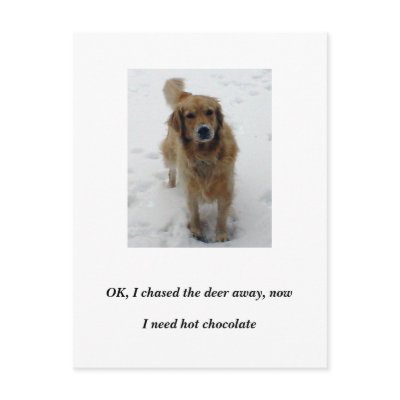ally cropped, I need hot chocolate, OK, I chase... Postcards by carolinevaughan