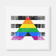 ALLY FLAG DISTRESSED FRIDGE MAGNETS