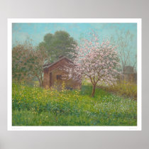 Almond Blossoms and Wild Mustard (1152) Poster