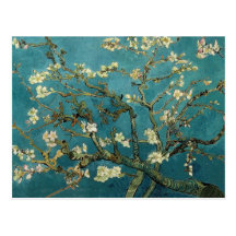 Almond Branches in Bloom Post Card
