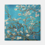 Almond Branches in Bloom, San Remy, c.1890 Fridge Magnet