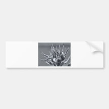 Almost a Sunflower Bumper Sticker