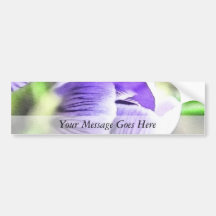Almost Open!  Crocus Bud Bumper Stickers