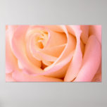 Almost Pink Poster, S Cyr posters