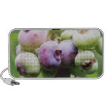 Almost Ripe - Blueberries Mp3 Speakers