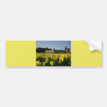 Alnwick Castle from the Gardens Bumper Stickers
