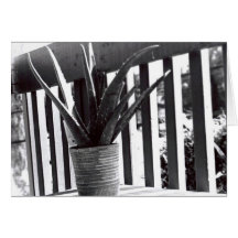 Aloe card