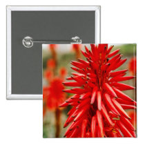 Aloe flowers Button buttons