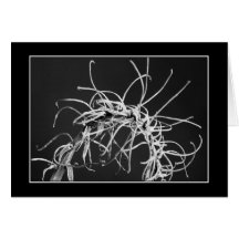 "Aloe Vera Abstract" Greeting Card