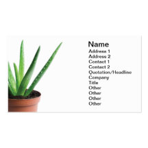Aloe Vera Business Card Template