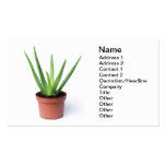 Aloe Vera Business Card Template