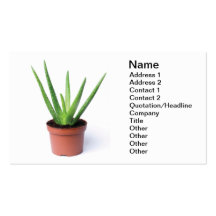 Aloe Vera Business Card Template