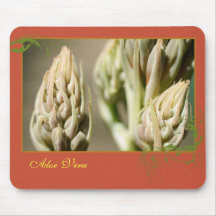 Aloe Vera Mousepads