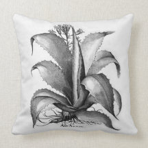 Aloe Vera Pillow Obsession Botanical Design