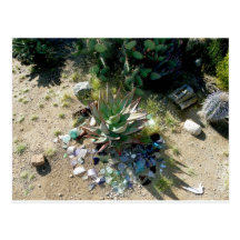 Aloe Vera Postcard
