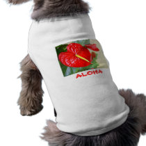 Aloha Friday Pet T-shirt