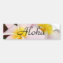 Aloha Hawaiian Frangipani Blossoms Plumerias Bumper Stickers