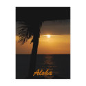 Aloha Hawaiian Sunset Cards postcards