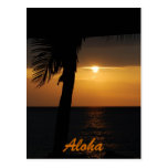 Aloha Hawaiian Sunset Cards Postcards