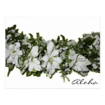 Aloha Lei Hawaii Postcard