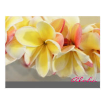 Aloha Lei Hawaii Postcard