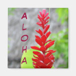 Aloha Magnet