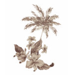 aloha palm t-shirts