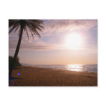 Aloha Postcard