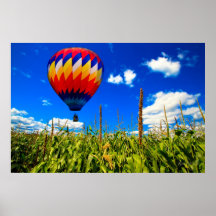 Alone over the cornfield Hot Air Balloons Posters