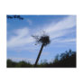 Alone Postcards