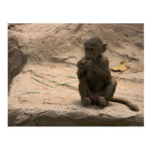 Alone Postcard