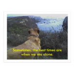 Alone together Postcard