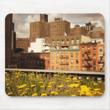Along the High Line Mousepad