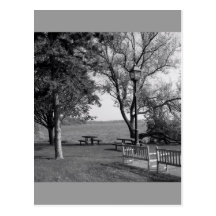 Along The Shore Post Card