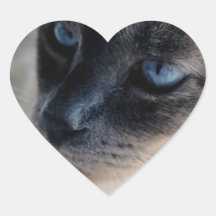 Aloof Siamese Cat Heart Sticker