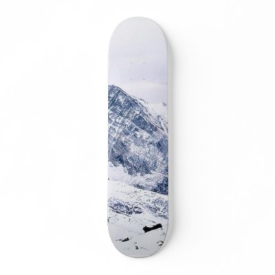 Alp Mountains In Snow Custom Skate Board by lifesphere