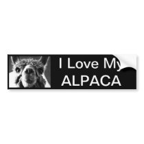 Alpaca