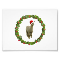 Alpaca Christmas Wreath Photograph