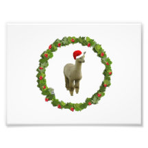 Alpaca Christmas Wreath Photograph