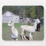 Alpaca Days Mouse Mats