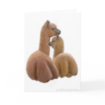 Alpaca Love Greeting Card