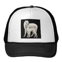 Alpaca Love Trucker Hats