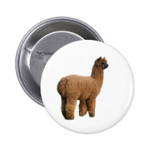 Alpaca Magic Button