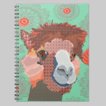 Alpaca Notebook notebooks