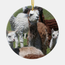Alpaca Ornament