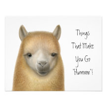 Alpaca Party Invitation