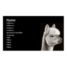 Alpaca Profile Card Business Card Templates
