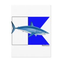 Alpha Dive Flag Collection